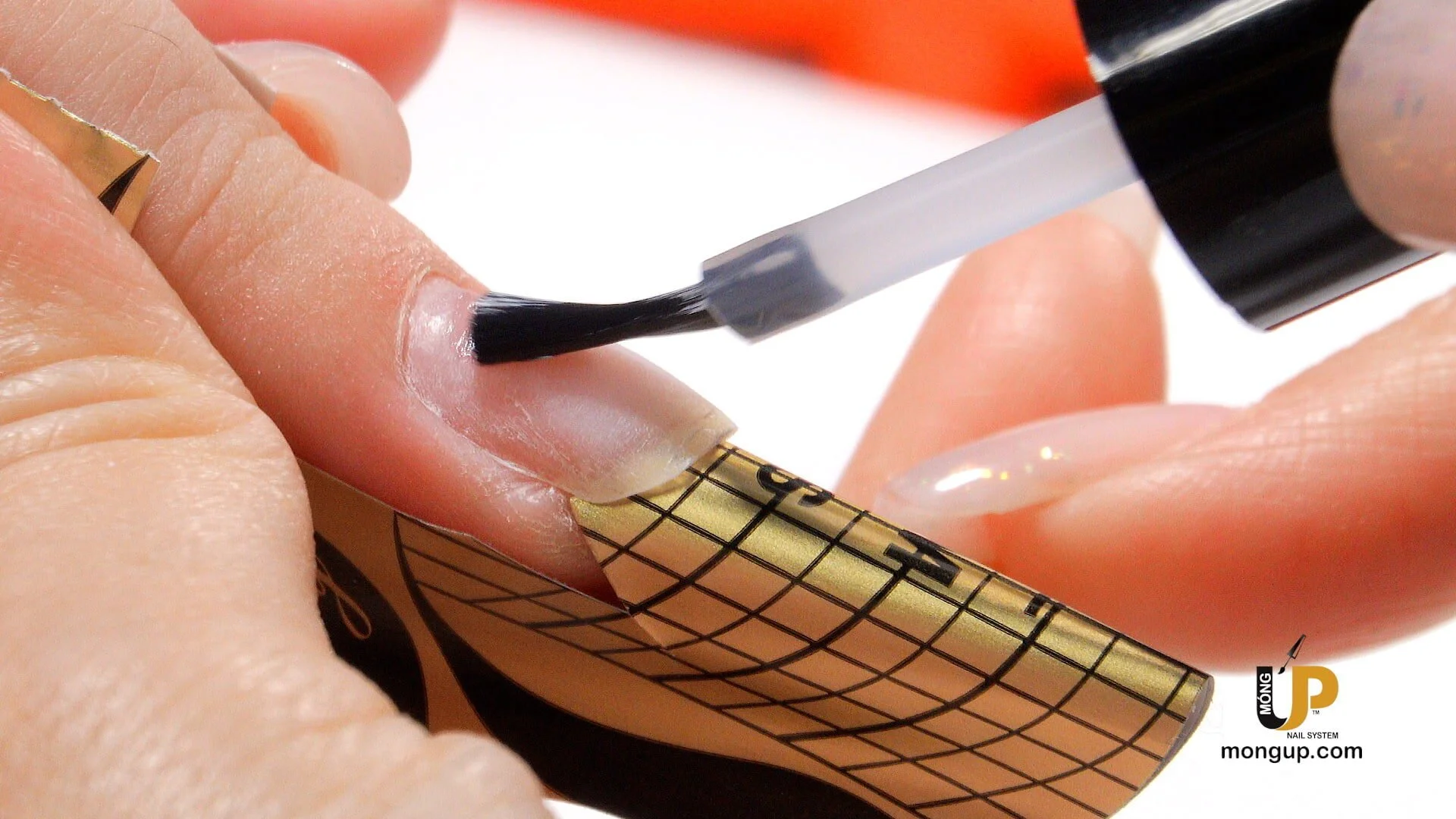 Custom Gel Nails With The Form